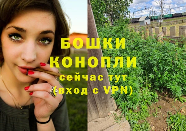сатива Алексин
