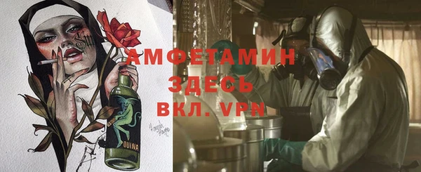 ГАЛЛЮЦИНОГЕННЫЕ ГРИБЫ Алексеевка